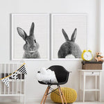Rabbit Tail Poster Black and White - Cozy Nursery