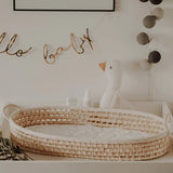 Moses Changing Basket