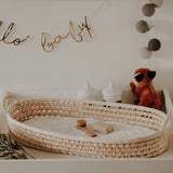 Moses Changing Basket