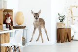 Deer Wall Sticker