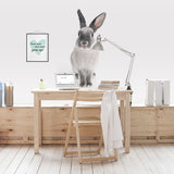 Rabbit Wall Stickers