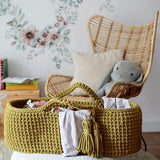 Moses Basket