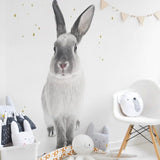 Rabbit Wall Stickers