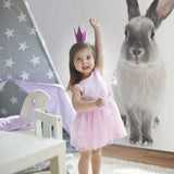 Rabbit Wall Stickers