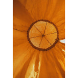 “Ochre” Canopy