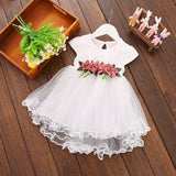 Baby Girl Floral Party Dress - Cozy Nursery
