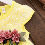 Baby Girl Floral Party Dress - Cozy Nursery