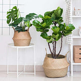 Seagrass Wicker Basket - Cozy Nursery