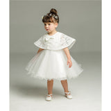 Baby Girl Dress For Birthday & Wedding 2pcs/set - Cozy Nursery