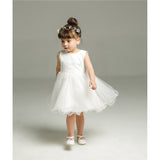 Baby Girl Dress For Birthday & Wedding 2pcs/set - Cozy Nursery