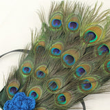 Peacock Costume For Newborn Photography