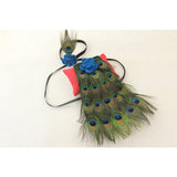 Peacock Costume For Newborn Photography