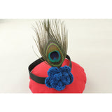 Peacock Costume For Newborn Photography
