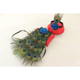 Peacock Costume For Newborn Photography