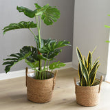 Rattan Storage Basket & Floor Plant Pot