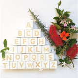 Wooden Alphabet Letters Block Set