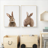 Bunny Rabbit Tail Canvas Colour Image - Cozy Nursery