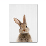 Bunny Rabbit Tail Canvas Colour Image - Cozy Nursery