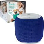 the Learning-First Audio Play System