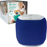 the Learning-First Audio Play System