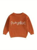 Knitted Baby Pumpkin Sweater