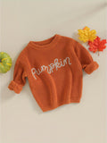 Knitted Baby Pumpkin Sweater