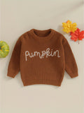 Knitted Baby Pumpkin Sweater