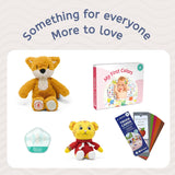 the Learning-First Audio Play System