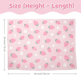 Strawberry Minky Baby Blanket 30 X 40 Inches for Girls, Soft Plush Receiving Blanket with Dotted Back, Gift for Toddler Newborn Infant Christmas Birthday Baby Shower