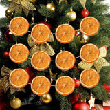 Christmas Decorations, 10Ft Dried Orange Slice Christmas Garland