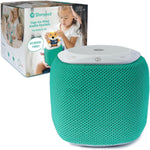 the Learning-First Audio Play System