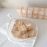 Alphabet Building Blocks 