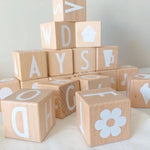 Alphabet Building Blocks 