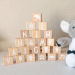 Alphabet Building Blocks 