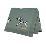 Zebra Baby Blanket 