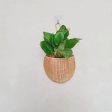 Rattan Pear Shape Storage Basket