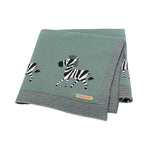 Zebra Baby Blanket 