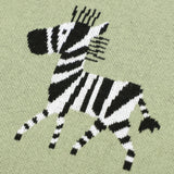 Zebra Baby Blanket 