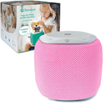 the Learning-First Audio Play System