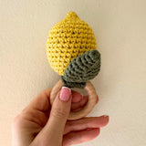 Crochet Baby Rattle Set – Lemon & Daisy 