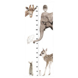 Animal Height Chart