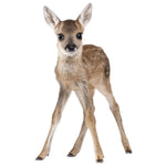 Deer Wall Sticker