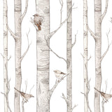 Birch Trees Wallpaper