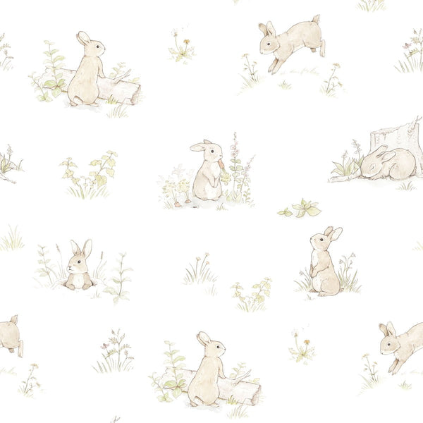 Cute Bunny & Carrots Cartoon Wallpapers - Cute Rabbit Wallpapers