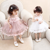 Baby Lace Tulle Dress - Cozy Nursery