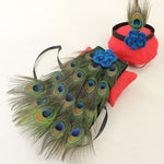 Peacock Costume For Newborn Photography