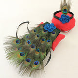 Peacock Costume For Newborn Photography