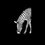 Zebra-Vinyl-Wandaufkleber