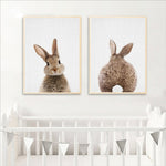 Bunny Rabbit Tail Canvas Colour Image - Cozy Nursery