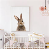 Bunny Rabbit Tail Canvas Colour Image - Cozy Nursery